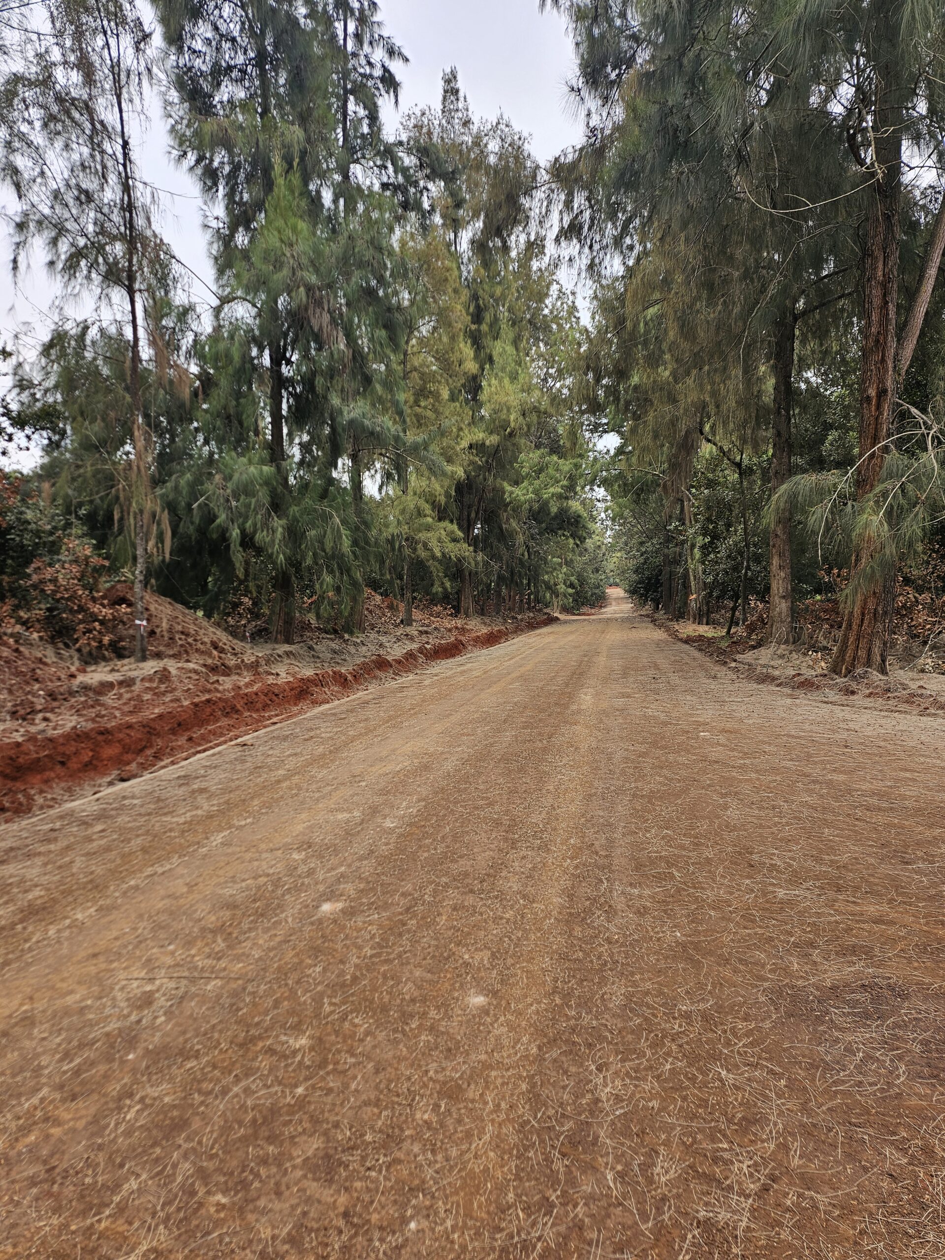 Vantage View Estate by Carol Njama located in Juja