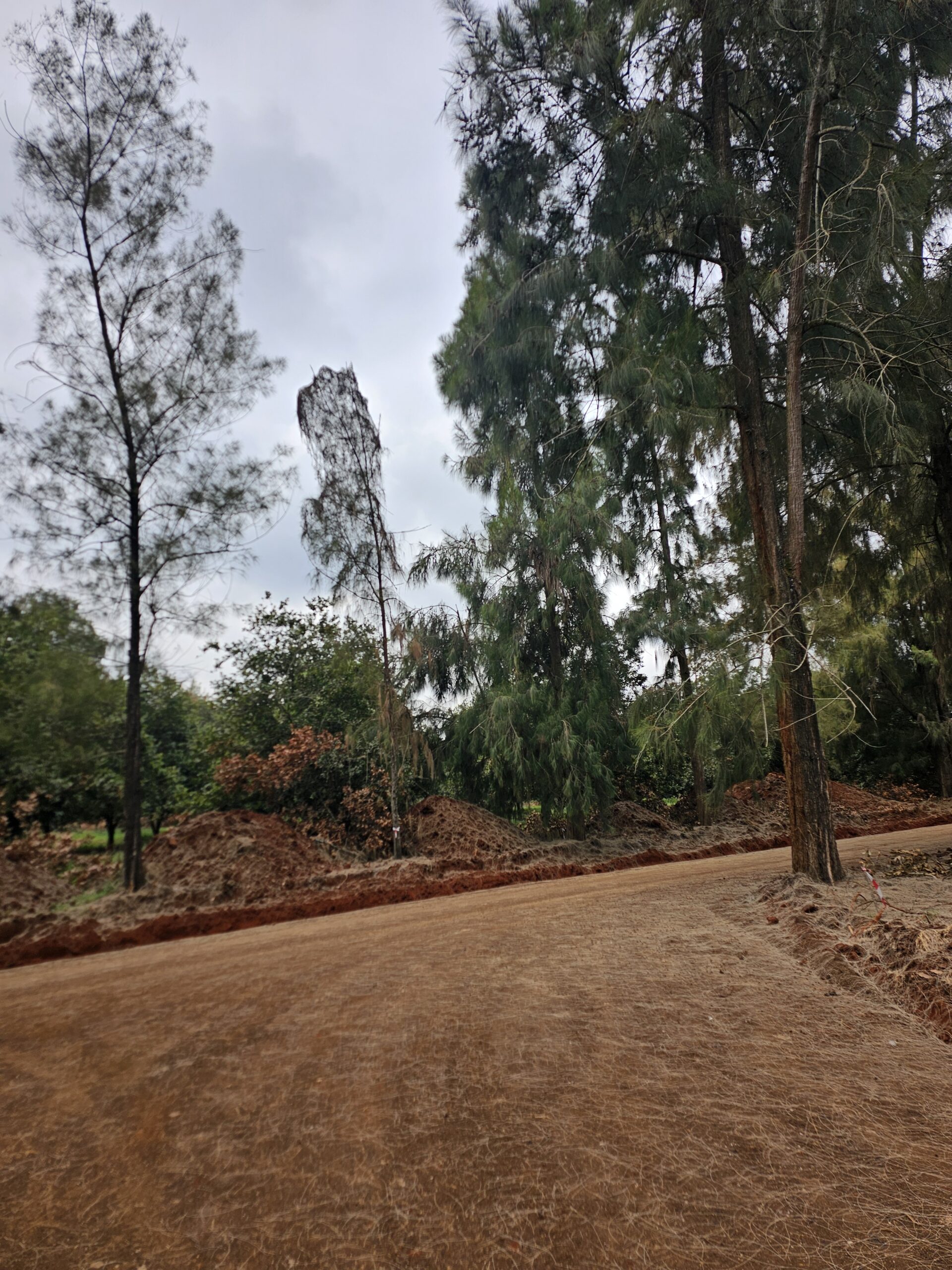 Vantage View Estate by Carol Njama located in Juja