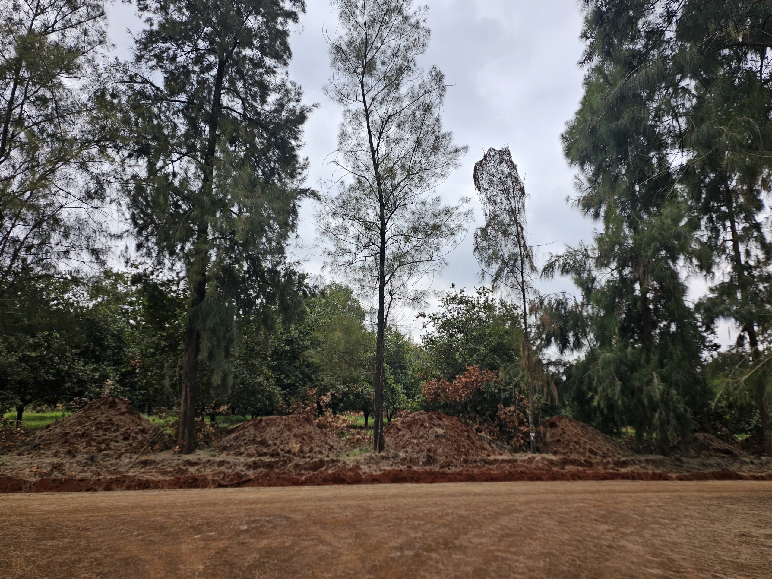 Vantage View Estate by Carol Njama located in Juja