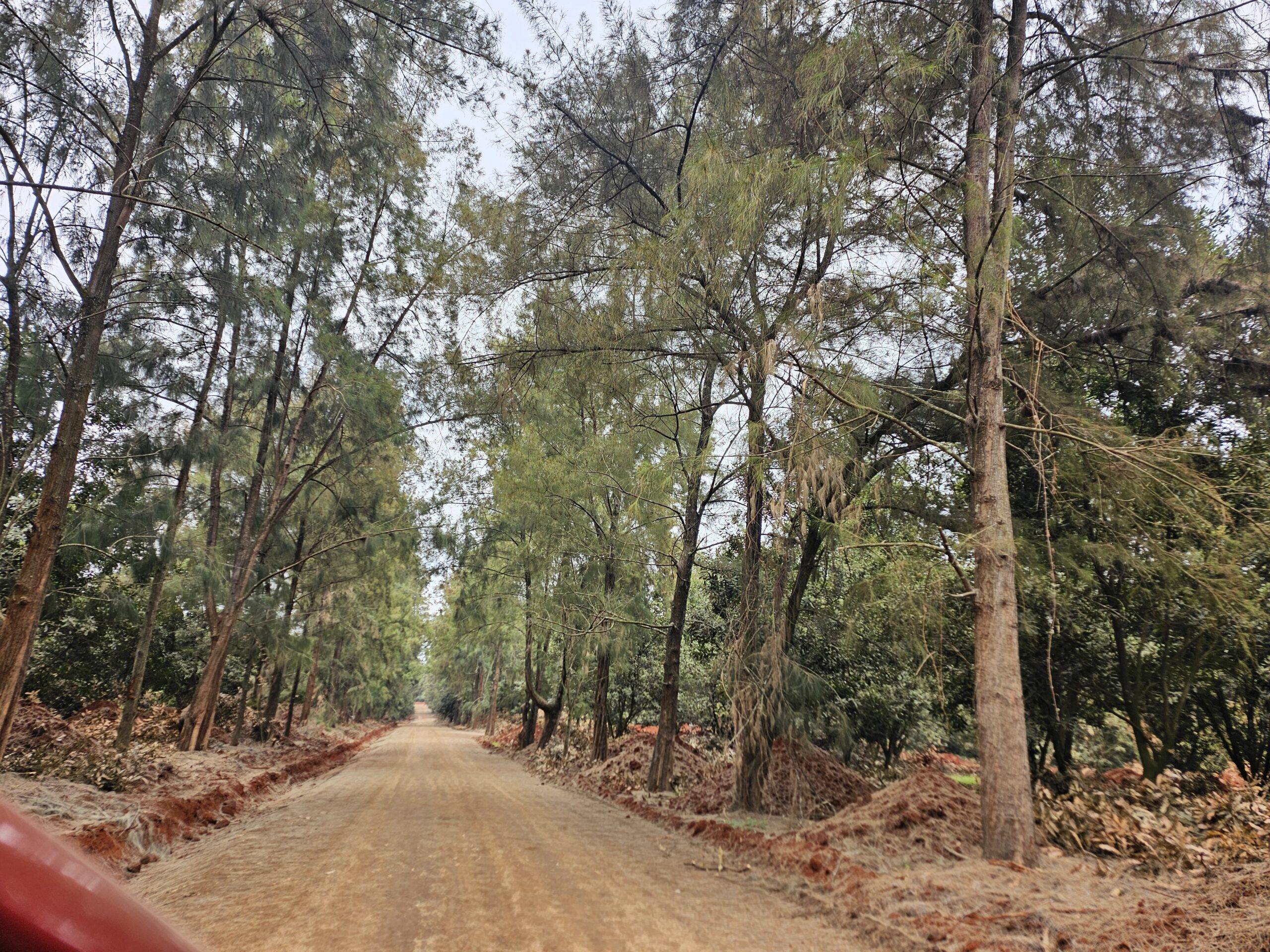 Vantage View Estate by Carol Njama located in Juja