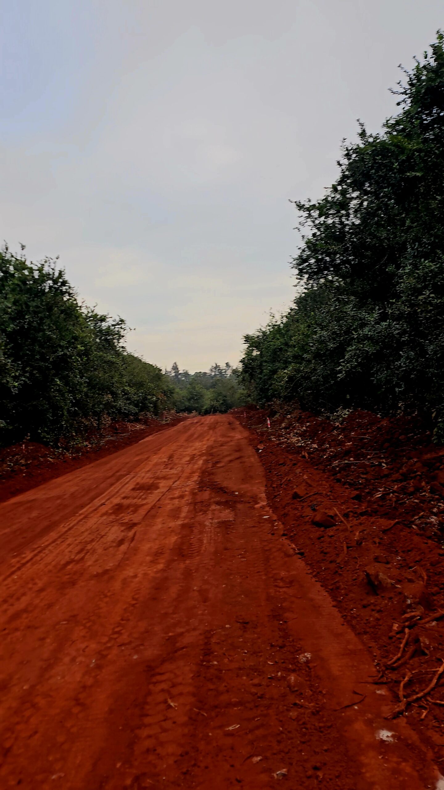 Vantage View Estate by Carol Njama located in Juja