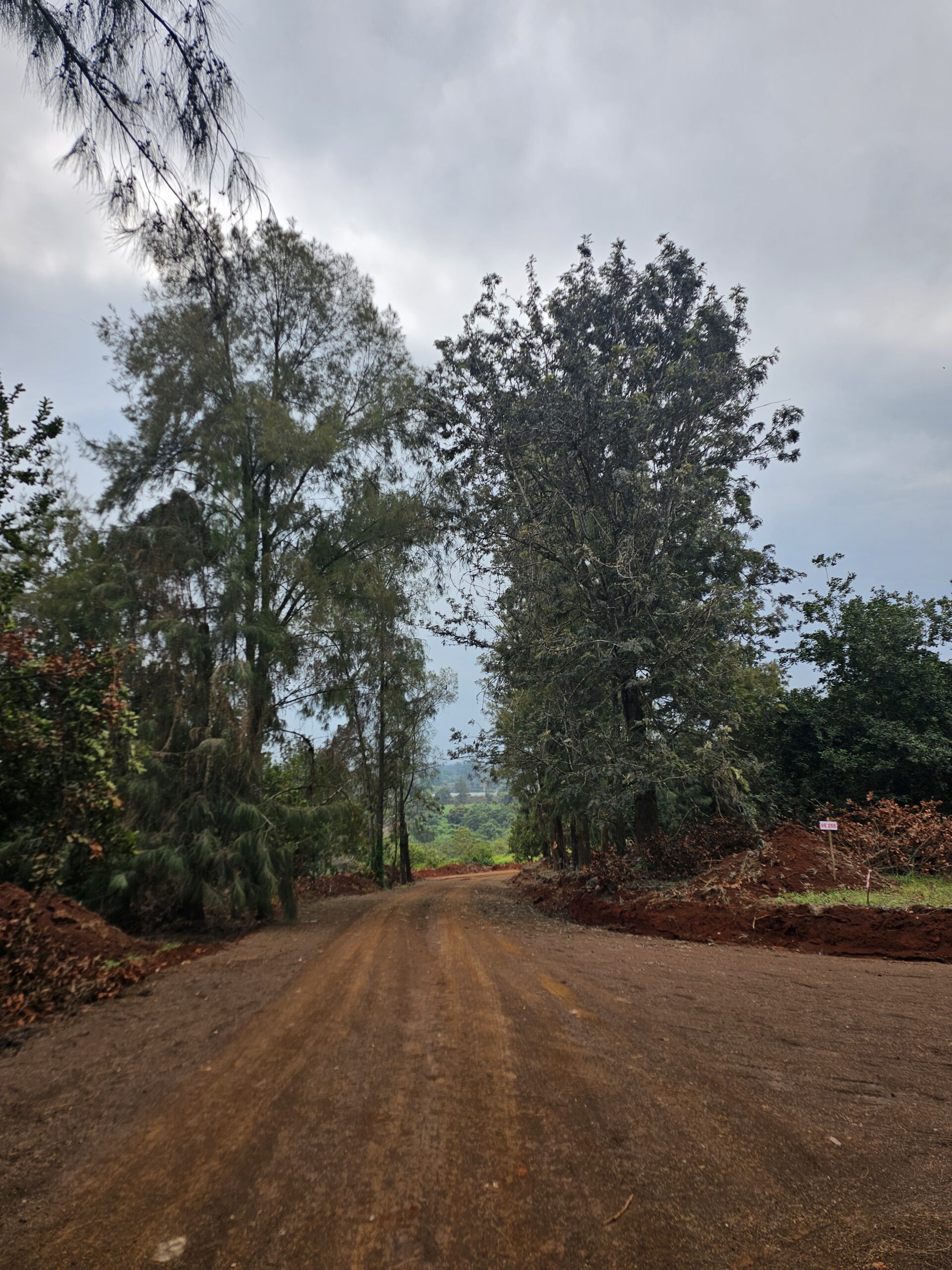 Vantage View Estate by Carol Njama located in Juja
