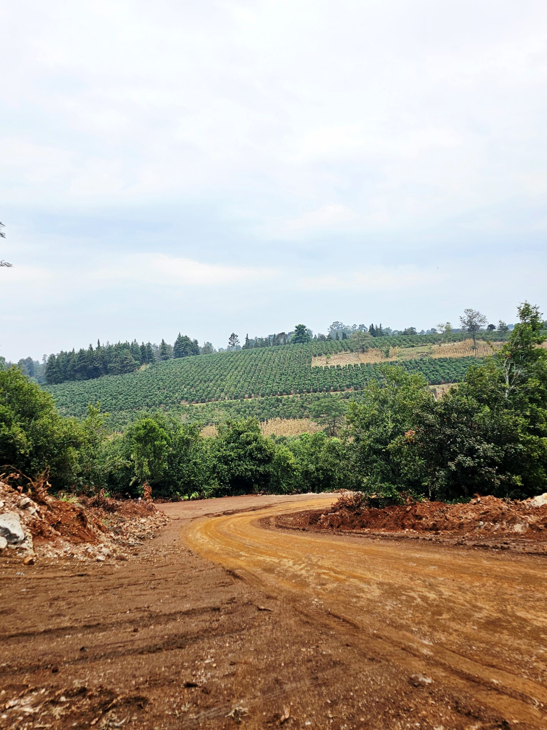 Vantage View Estate by Carol Njama located in Juja