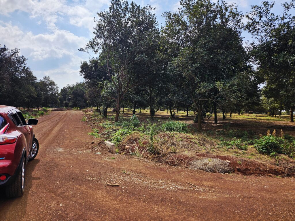 Thika Grove Chania-Carol Njama