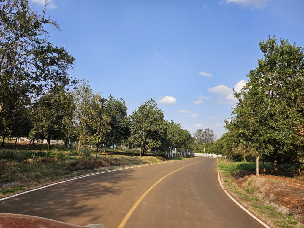 Thika Grove Chania-Carol Njama