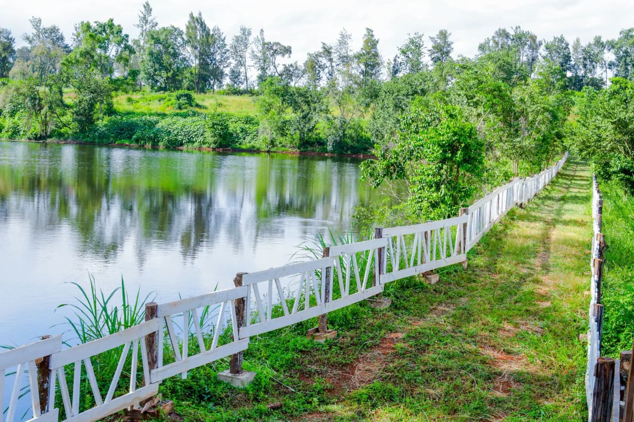 Vantage View Estate by Carol Njama